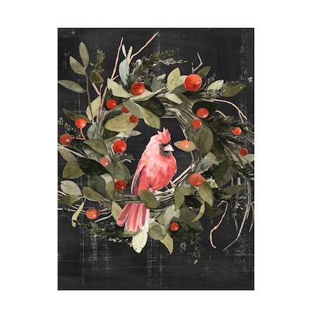 Emma Scarvey 'Christmas Cardinal II' Canvas Art, 35x47